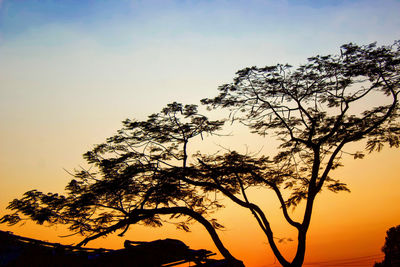 Low angle view of silhouette tree against sky during sunset