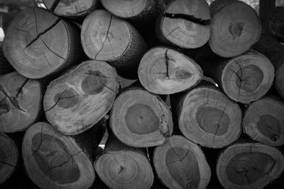 Full frame shot of logs in forest