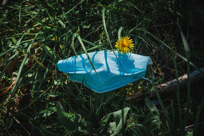 A desposible medical mask sits discarded on the grass during covid-19 pandemic times.