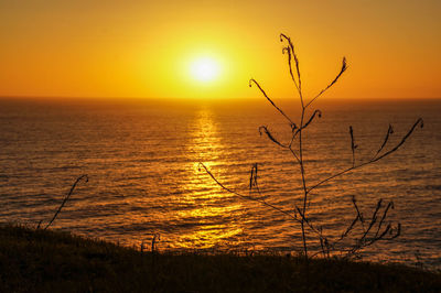 Scenic view of sea against orange sky