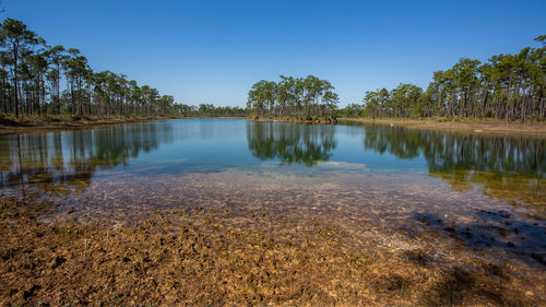 Long pine key lake landscape, everglades national park