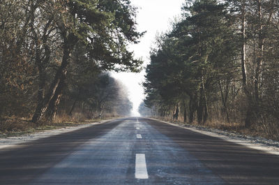 Empty road amidst trees in forest