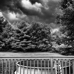 Trees against cloudy sky