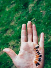 Close-up of hand holding feathers