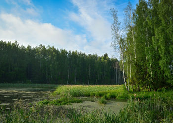 Scenic view of landscape against cloudy sky