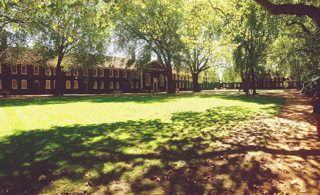 tree, built structure, architecture, park - man made space, building exterior, growth, green color, grass, sunlight, nature, tranquility, park, shadow, day, outdoors, branch, formal garden, tree trunk, travel destinations, no people