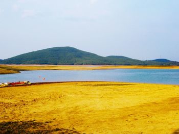 Scenic view of beach against sky