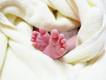 Close-up of baby hand