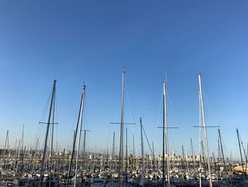 Sailboats in marina