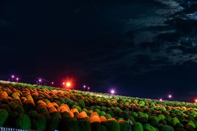 Scenic view of illuminated field against sky at night