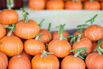 Close-up of pumpkins for sale at market stall