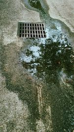 High angle view of puddle on road