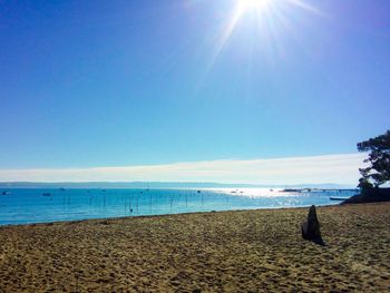 Scenic view of beach against clear blue sky