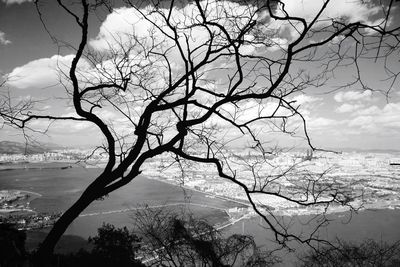 Silhouette bare tree by lake against sky