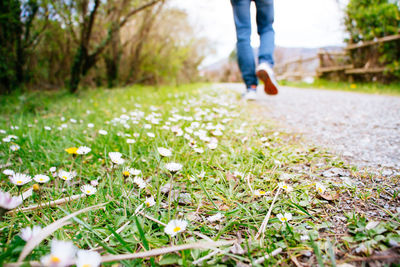 Low section of person on grassy field