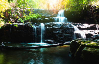 Scenic view of waterfall in forest