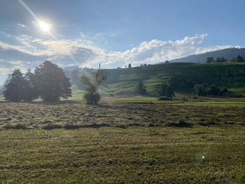 Scenic view of field against sky