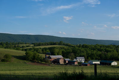 Houses on grassy hill against sky