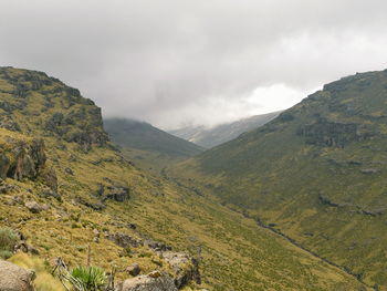 Scenic valley against a foggy mountain background, mount kenya national park, kenya