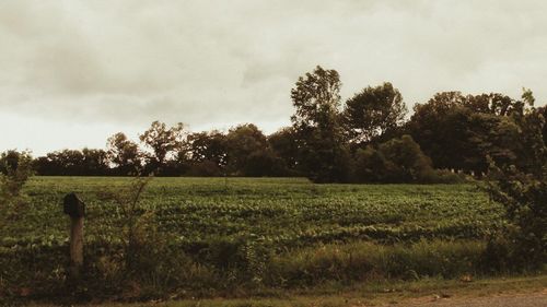 Scenic view of grassy field against cloudy sky