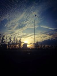 Silhouette of trees at sunset