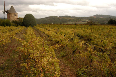 Scenic view of field against cloudy sky