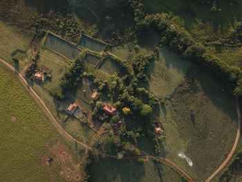 High angle view of agricultural landscape