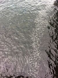 High angle view of rippled water