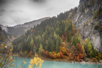 Trees by lake against sky during autumn