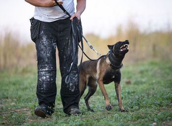 Low section of person with dog standing on field