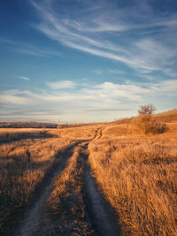 Dirt road passing through field against sky