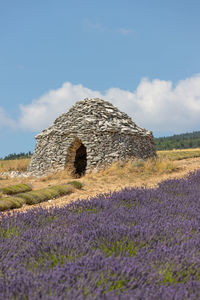 View of flowering plants on field against sky