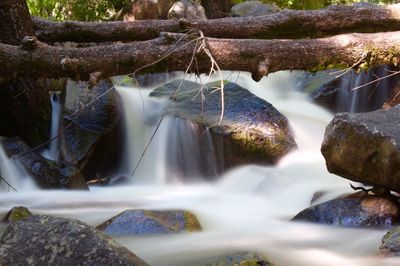 Close-up of waterfall in forest