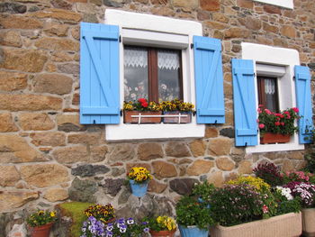 House with blue shutters in brittany