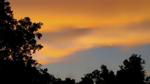 Silhouette trees against sky during sunset