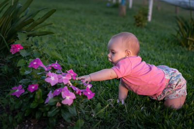 Baby on pink flowering plants