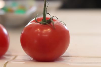 Close-up of tomatoes on table