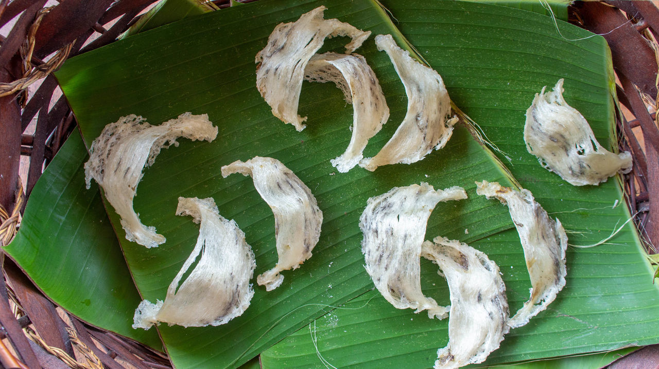 HIGH ANGLE VIEW OF LEAVES ON TABLE AT HOME