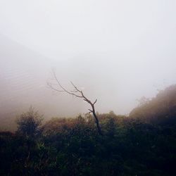 Scenic view of field against cloudy sky