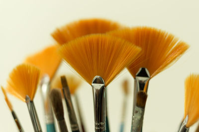 Close-up of paintbrushes against white background