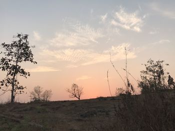 Silhouette trees on landscape against sky at sunset