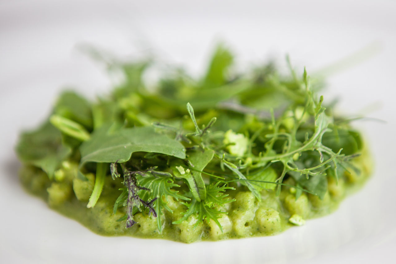 CLOSE-UP OF GREEN CHILI PEPPERS