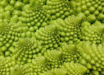 Full frame shot of green beans