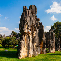 View of trees on rock formation