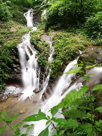 View of waterfall in forest