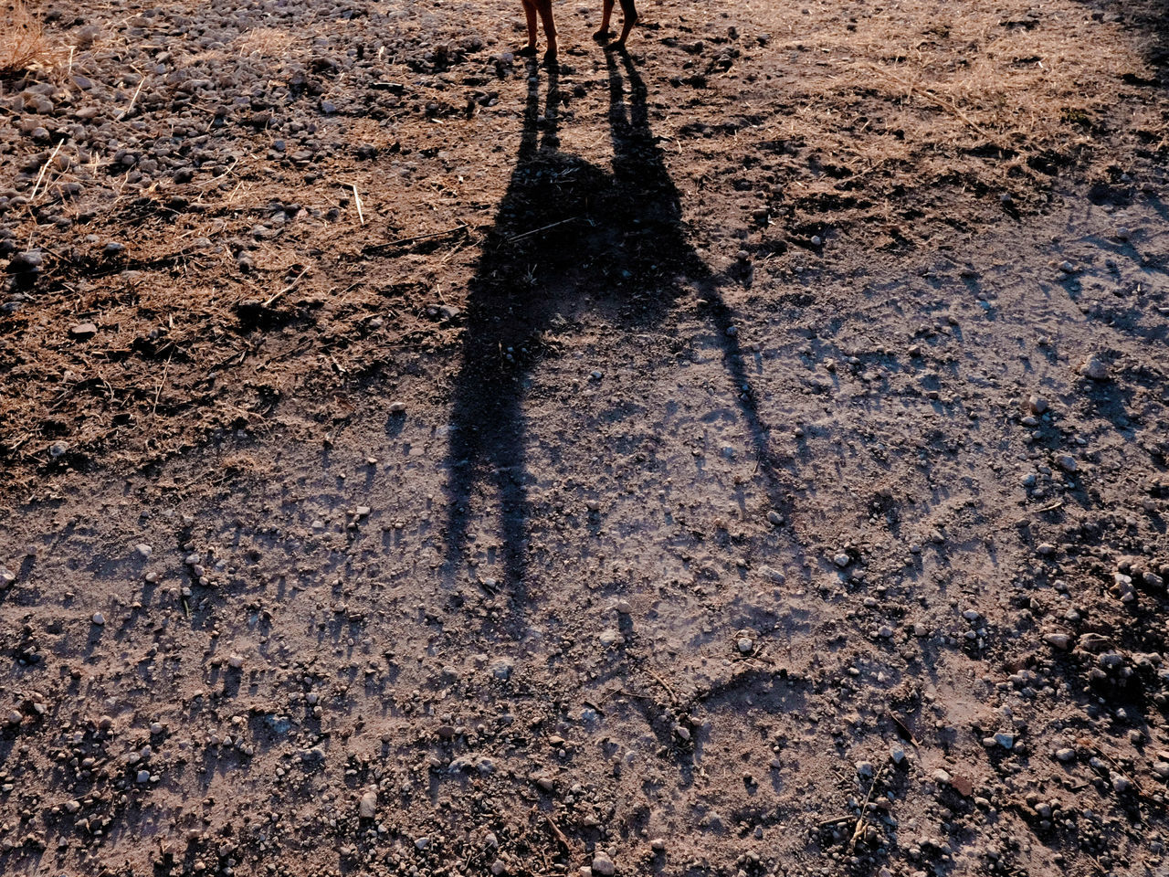 LOW SECTION OF PERSON SHADOW IN MUD ON GROUND