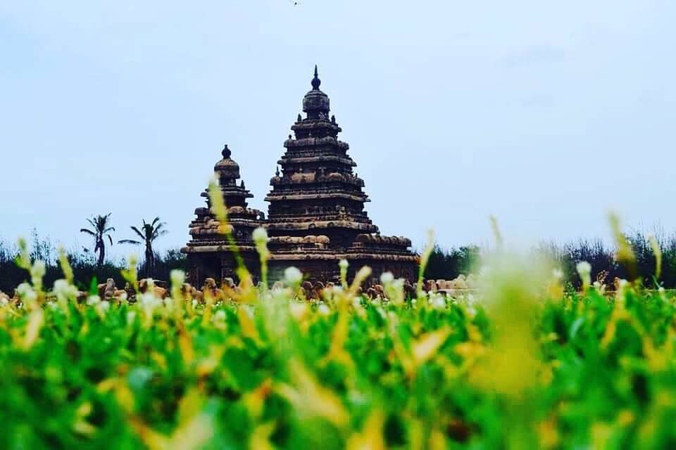 Mahabhalipuram