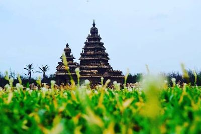 View of pagoda against clear sky