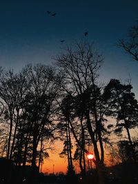 Low angle view of silhouette trees against sky at sunset