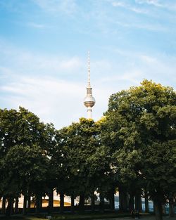 Trees and buildings against sky